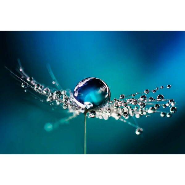 Natur #3 | Wassertropfen, Fotografie