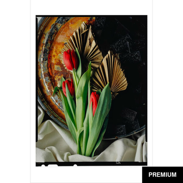 Wilko van Oostrum #20 | Tulpen mit Dominosteine, Fotografie (Film)