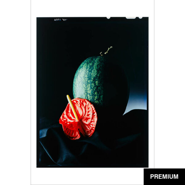 Wilko van Oostrum #26 | Flamingo mit Melone, Fotografie (Film)