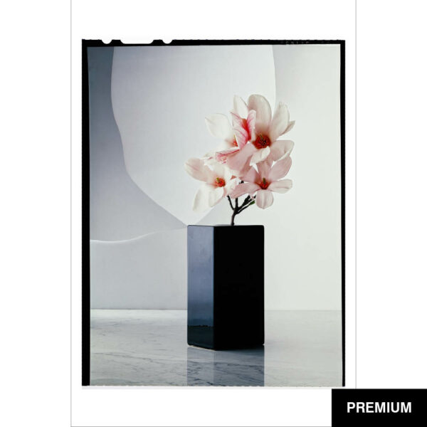 Wilko van Oostrum #29 | Magnolie, Fotografie (Film)
