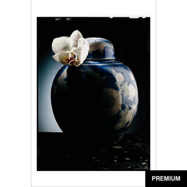 Wilko van Oostrum #31 | Orchidee mit Vase, Fotografie (Film)